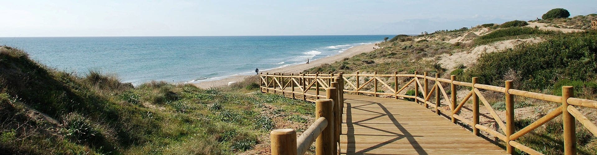 duinen artolas header
