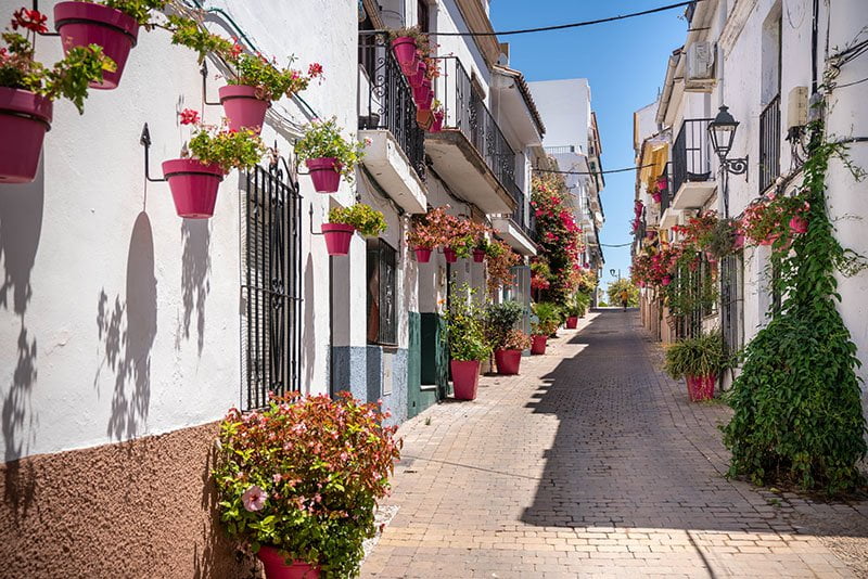 Estepona flores